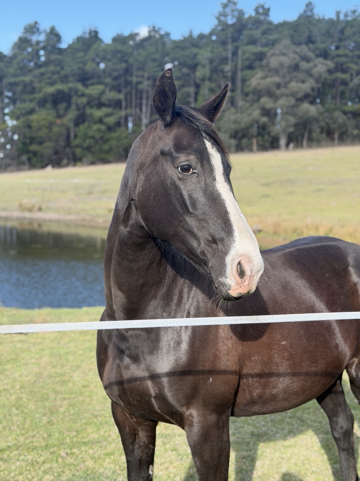 Nalegra at Steninge Park