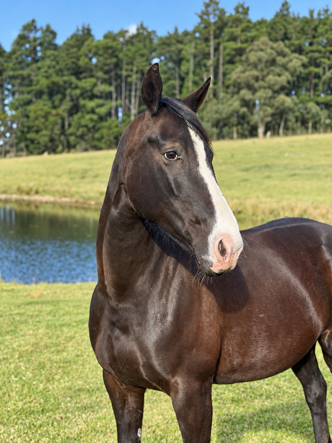 Nalegra at Steninge Park